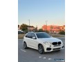 bmw-x5-small-2